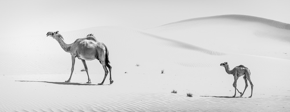 11. Platz Daniel Kreher